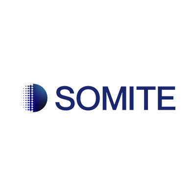 Somite